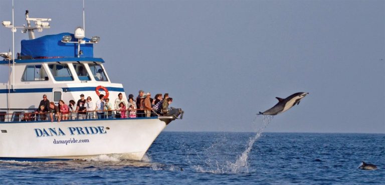 Dana Point Orange County Whale Watching Dana Wharf